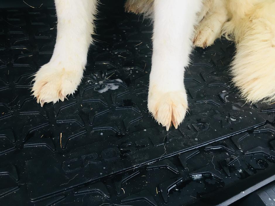 Opel Crossland X | Avtor: A. Š.