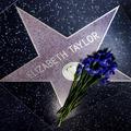 Elizabeth Taylor