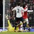 Rosicky Walker Lloris Arsenal Tottenham FA pokal