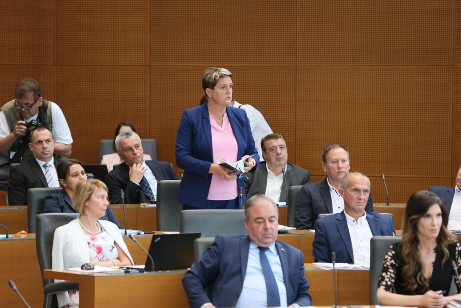 državni zbor seja poslanci SDS Jelka Godec | Avtor: Državni zbor/Sušnik Matija