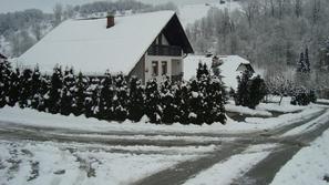"V stanovanjski coni se je veliko gradilo, gradbeni stroji so uničevali cesto, z