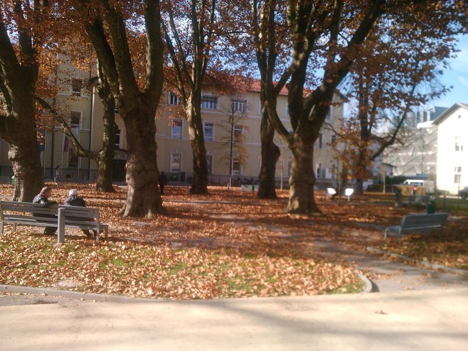 oi, park | Avtor: zurnal24.si