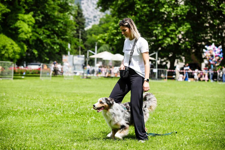 festival za ljubitelje živali | Avtor: Saša Despot