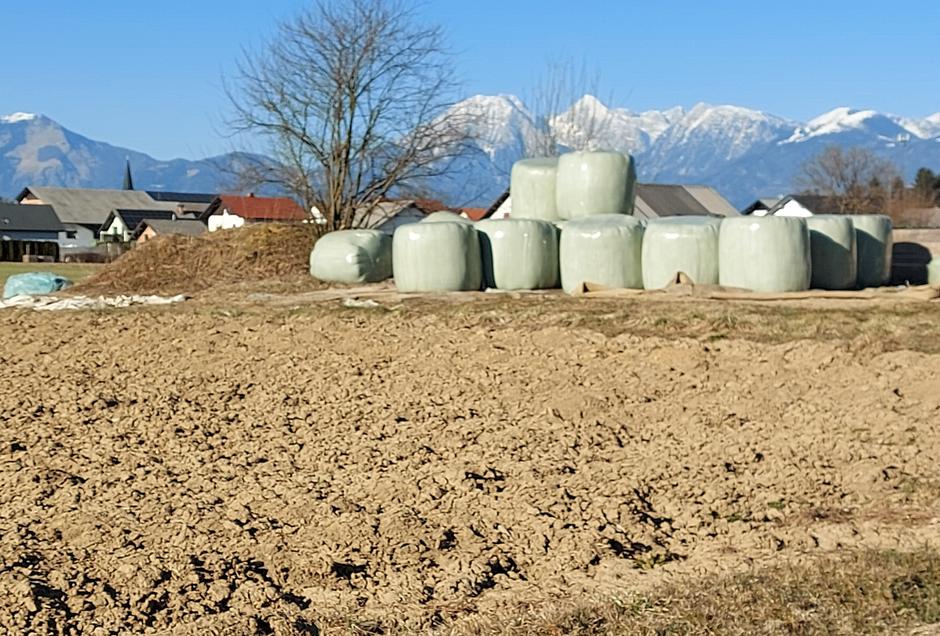 Sorško polje, hrana, Kranj, poljedelstvo | Avtor: M. Ha.