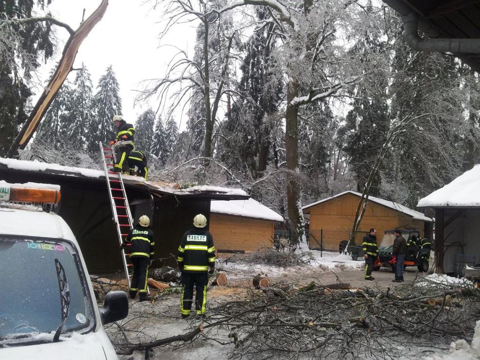 Snegolom v Živalskem vrtu
