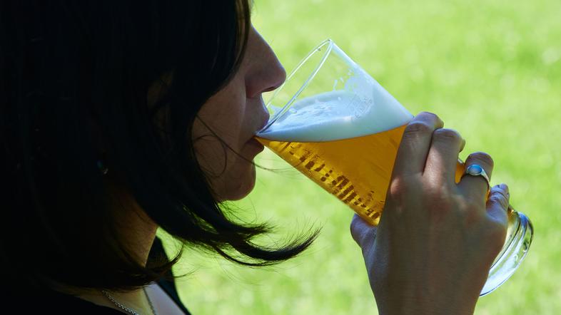 pivo