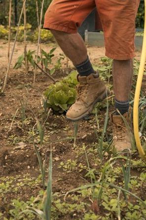 Vrtnarjenje, delo na vrtu