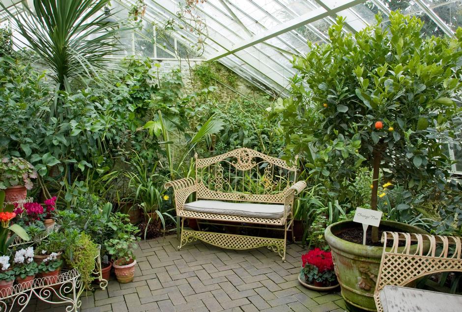 Zimski vrt | Avtor: Profimedia