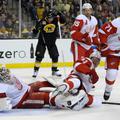 detroit red wings