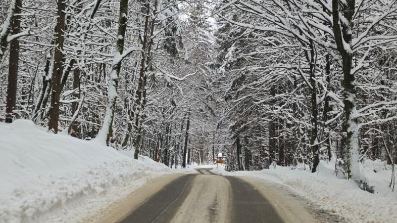 Zasnežena cesta, sneg, poledica, zima, vreme