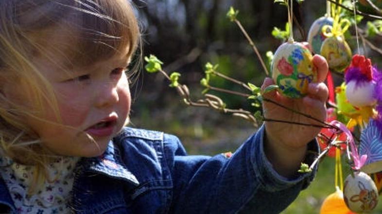 Kuhana jajca v dveh urah pospravite v hladilnik.