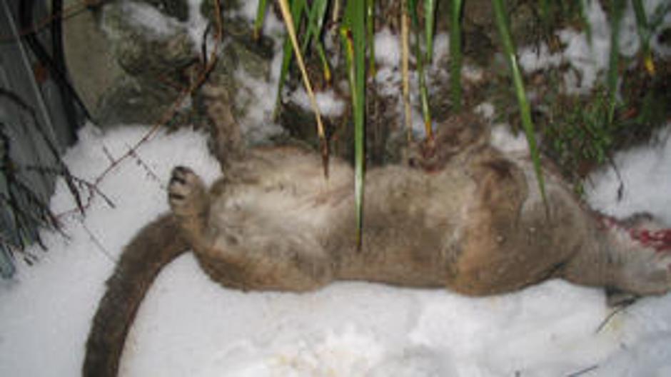  | Avtor: Žurnal24 main