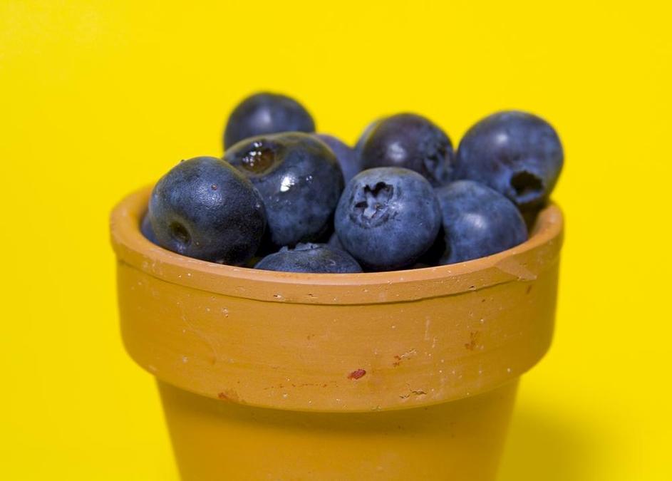 Borovnice spadajo med super živila. (Foto: Shutterstock)