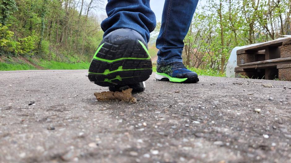 Pasji iztrebek | Avtor: Profimedia