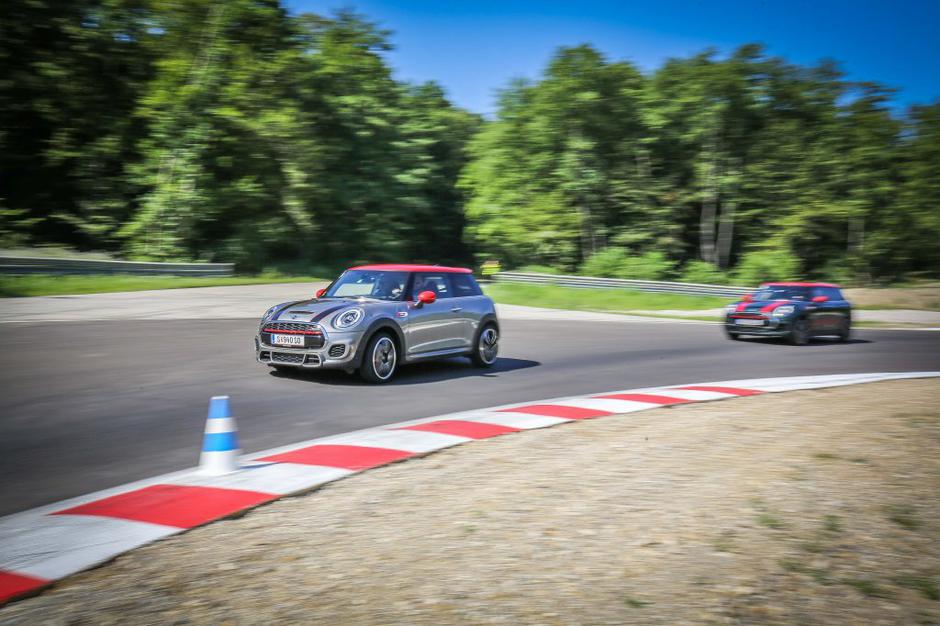 Mni | Avtor: Saša Despot