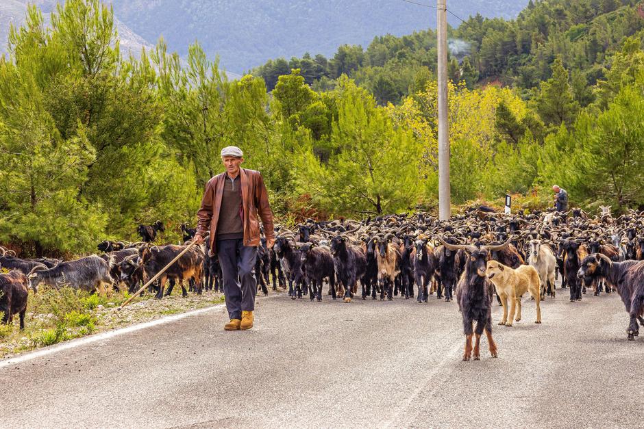 Albanija | Avtor: Profimedia
