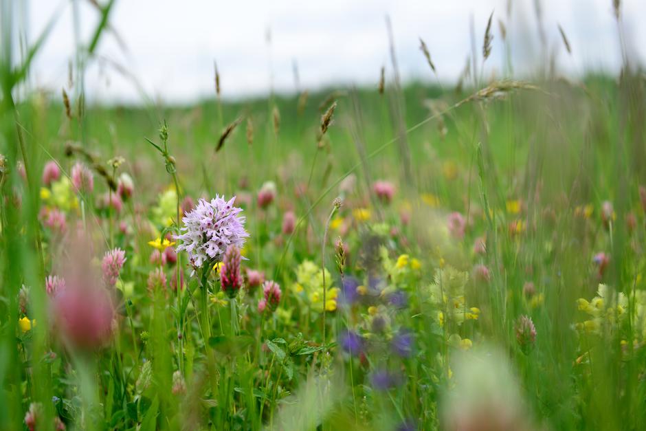 ZAKRAS 2 | Avtor: Borut Lozej