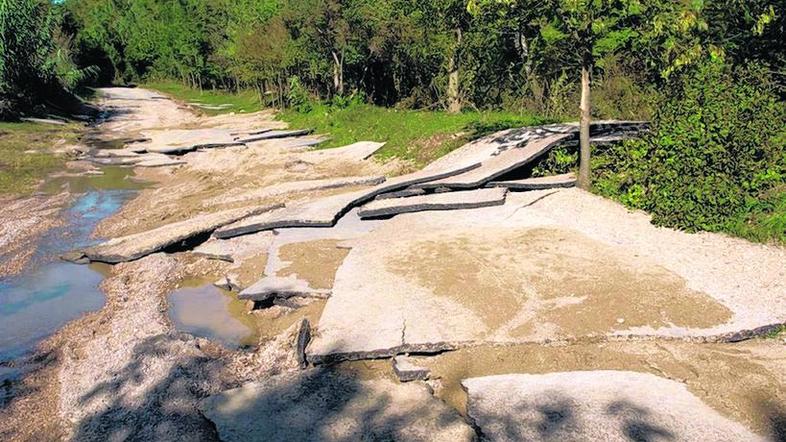 Cesto Župančiči–dolina Dragonje od križišča Babiči - Boršt do odcepa za Župančič