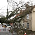Vetrolom veter neurje podrta drevesa