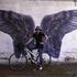 Wings for All 