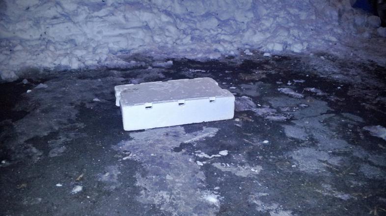 Gajbica na parkirišču