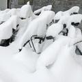 Sneg v Ljubljani 