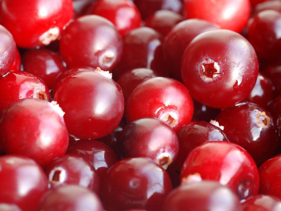 brusnice | Avtor: Žurnal24 main