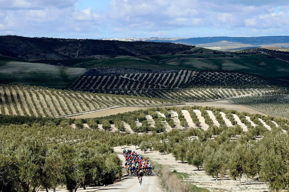 Clasica Jaen | Avtor: Reševalni pas/Twitter