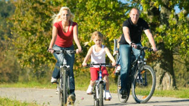 Kolesarili boste lahko od Postojnske jame do Predjamskega gradu.