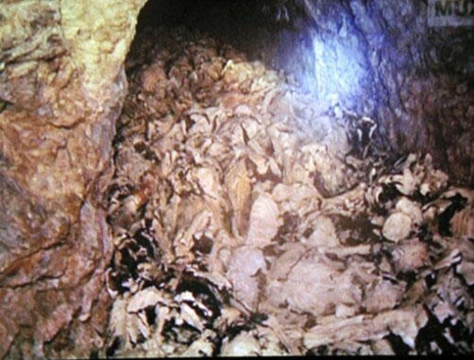 Hrvaška vlada se je danes poklonila žrtvam v Barbara rovu.