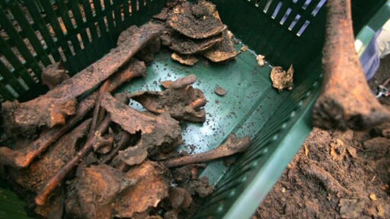 Novela zakona o žrtvah vojnega nasilja bi lahko bila po mnenju poslanca Alojza S