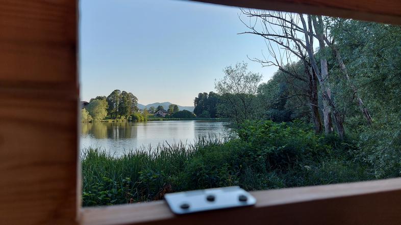 Ornitološka opazovalnica v Hrašah pri Smledniku, občina Medvode