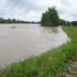 Sava se v svojem spodnjem delu počasi umirja. (Foto: Nina Oštrbenk)