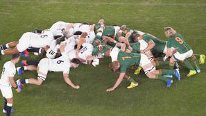 springboks, rugby