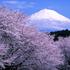 Fudži, Japonska