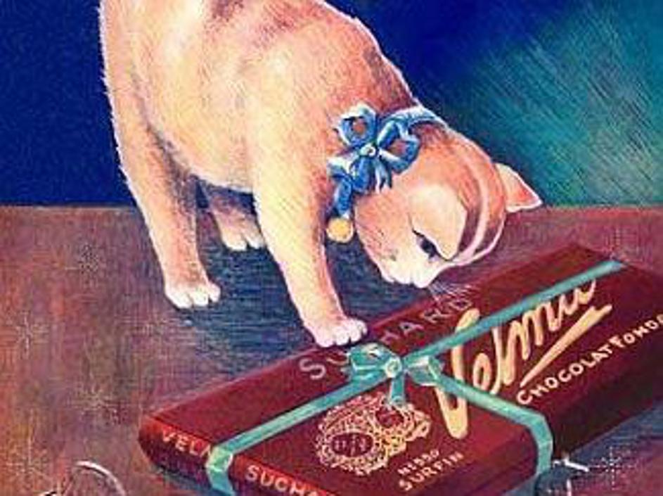 Otroci, psi in mačke ... največji zvezdniki starih oglasov za čokolado in kakav.