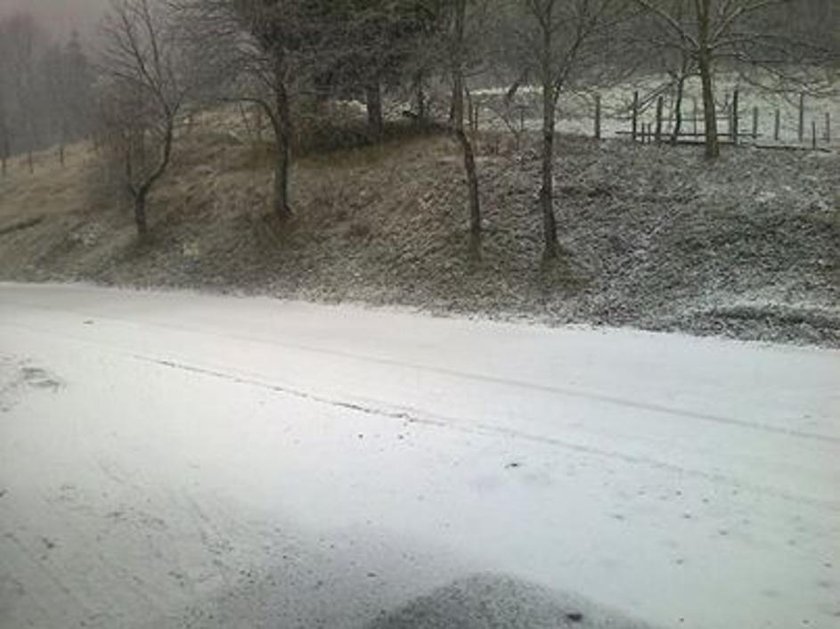 Sneg na Kočevskem 