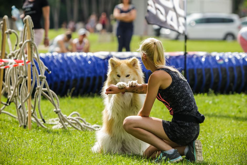 Festival za živali | Avtor: Saša Despot