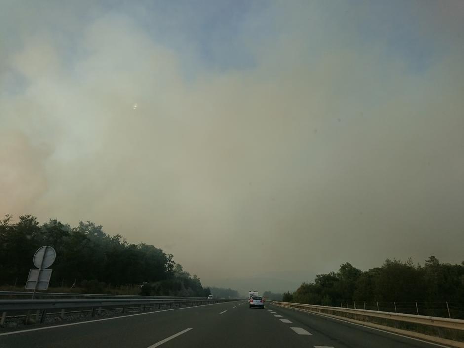  | Avtor: Sergeja Hadner Hvala