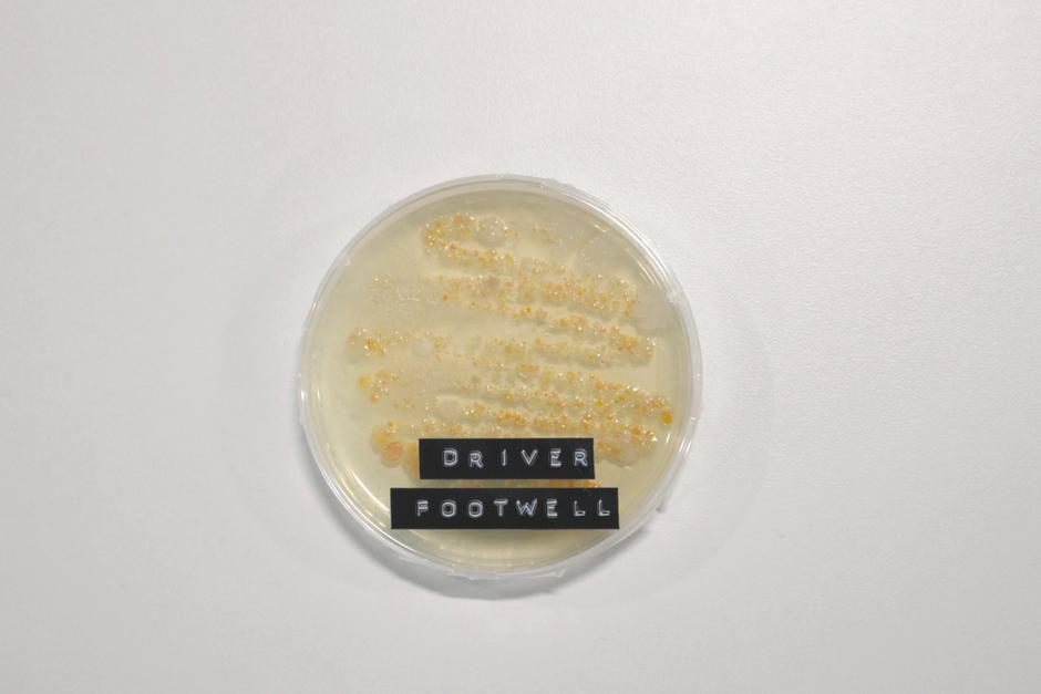 Notranjost avta | Avtor: Motorpoint