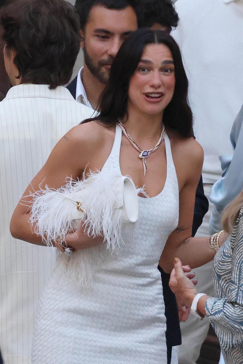 Dua Lipa | Avtor: Profimedia