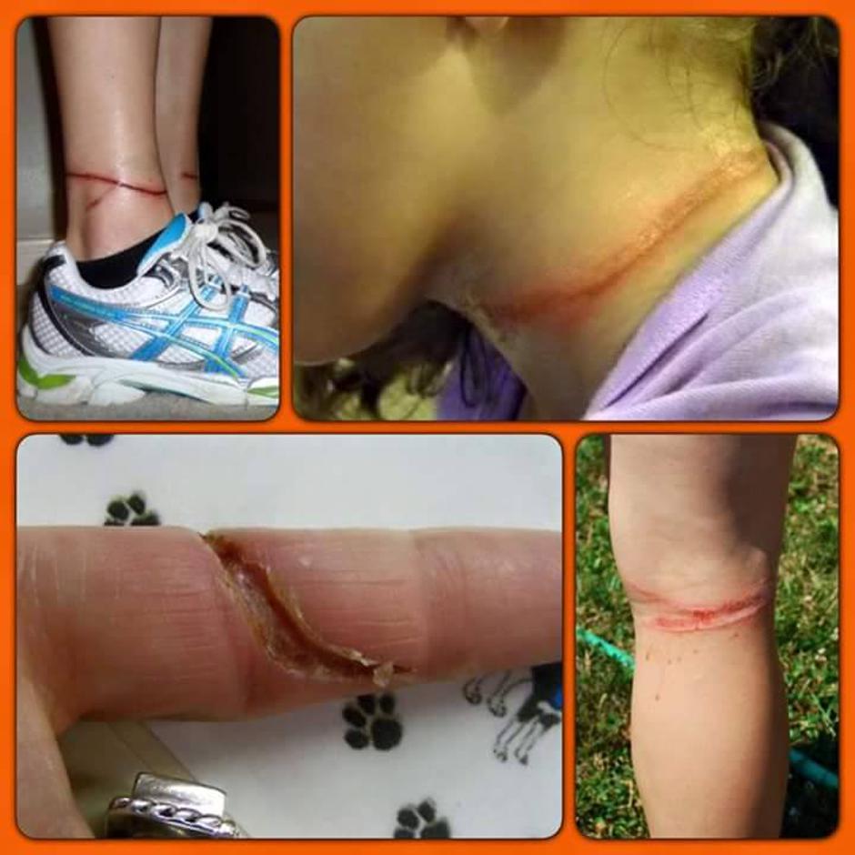 Vallhalla Rescue, NY, USA | Avtor: Valhalla Rescue