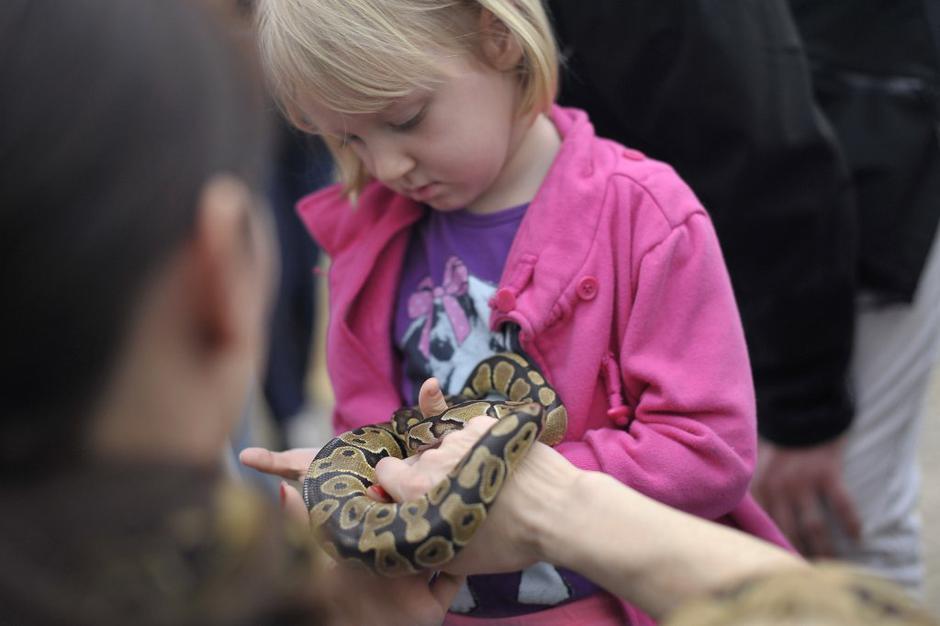 bioexo | Avtor: Anže Petkovšek