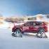 Nissan rogue warrior