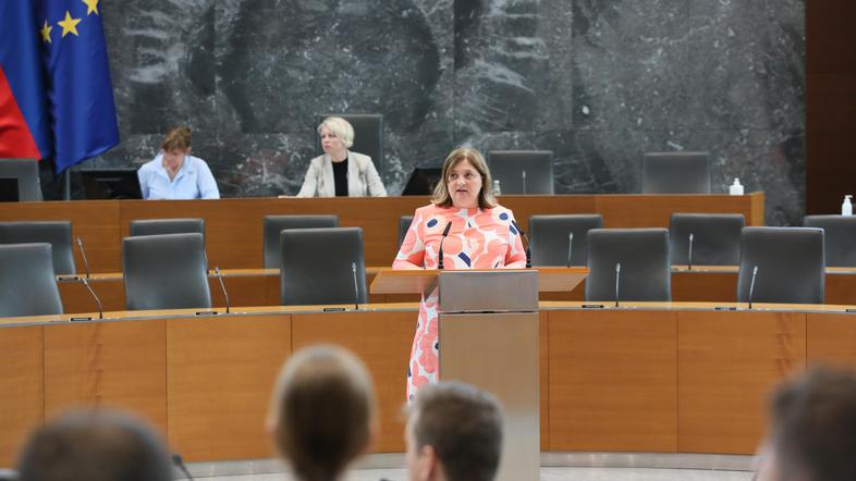 Prva izredna seja Državnega zbora, Državni zbor Tamara Vonta