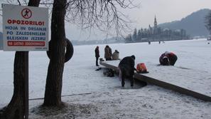 Zaledenelo Blejsko jezero