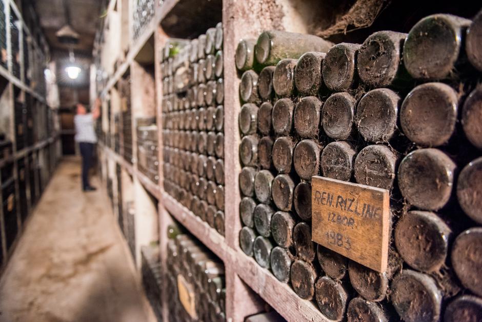 Ptuj | Avtor: Mankica Kranjec: Ptuj