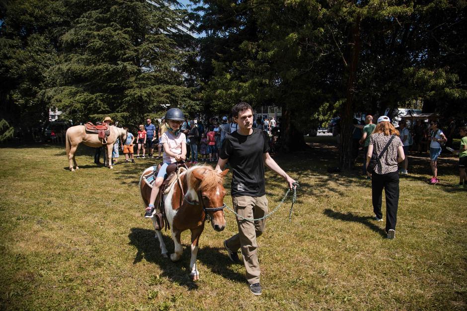 Festival za ljubitelje živali 2025 | Avtor: Cimet Studio