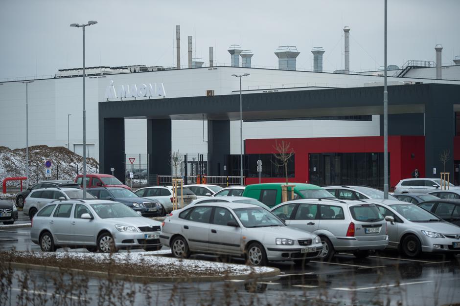 magna | Avtor: Anže Petkovšek