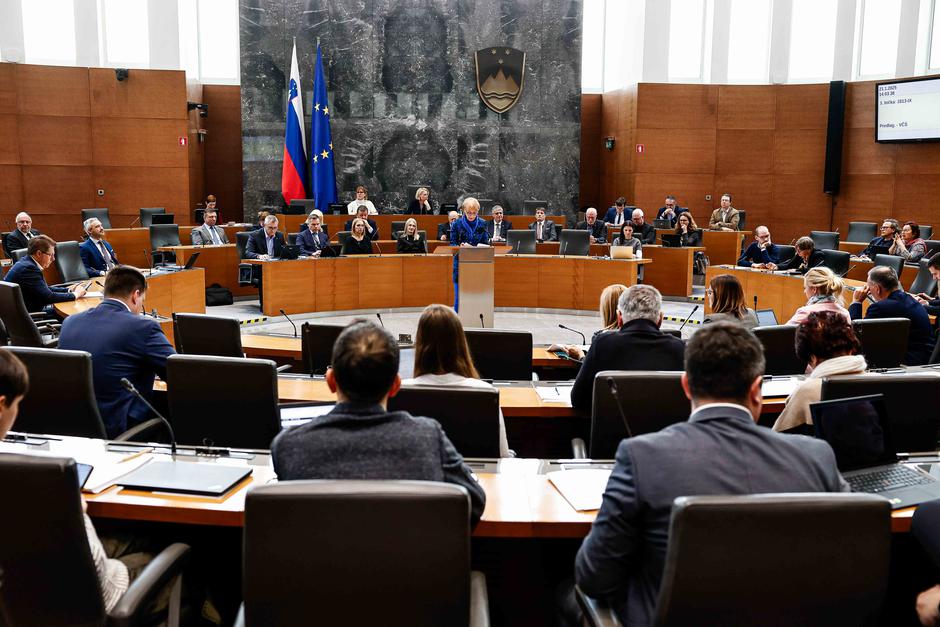 Državni zbor, poslanci | Avtor: Saša Despot